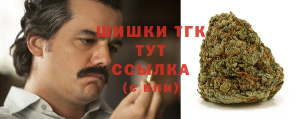 ПСИЛОЦИБИНОВЫЕ ГРИБЫ Арсеньев