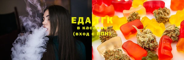ПСИЛОЦИБИНОВЫЕ ГРИБЫ Арсеньев