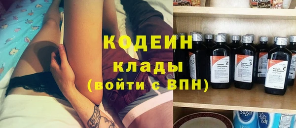ПСИЛОЦИБИНОВЫЕ ГРИБЫ Арсеньев