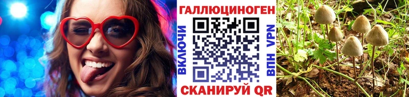 Псилоцибиновые грибы ЛСД  купить наркоту  Каневская 